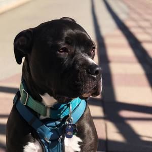 Meet your Posher, Erica